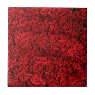 Red Rose Flowers Tile