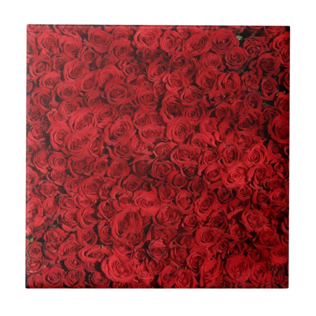 Red Rose Flowers Tile (Front)