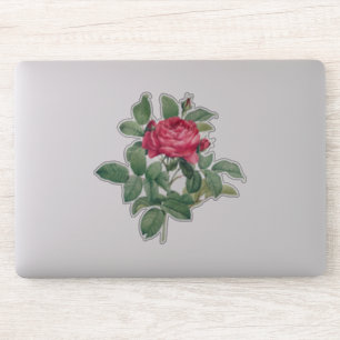 Red Rose Flowers with Green Leaves