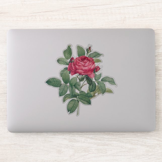 Red Rose Flowers with Green Leaves (Computer)