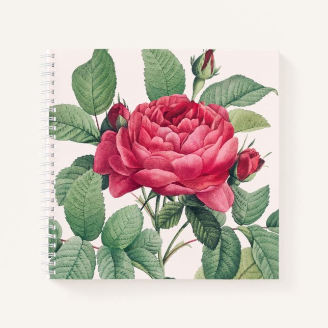 Red Rose Flowers with Green Leaves Notebook (Front)