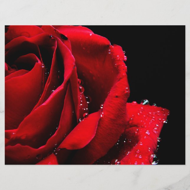 Red rose flyer (Front)