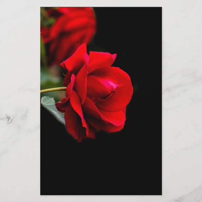Red rose flyer (Front)
