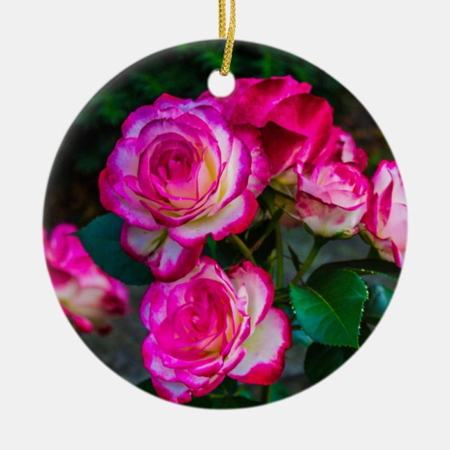 Red Rose Garden  Ceramic Tree Decoration (Front)