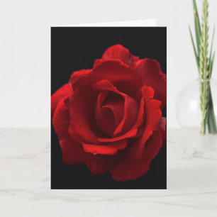 Red Rose gccn arc3 Card