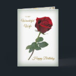 Red rose, golden confetti Wife Birthday Card<br><div class="desc">Birthdayb card  for wife with romantic red rose and golden effect confetti.</div>