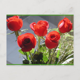 Red Rose Group Postcard