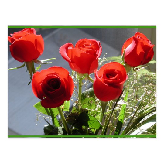 Red Rose Group Postcard