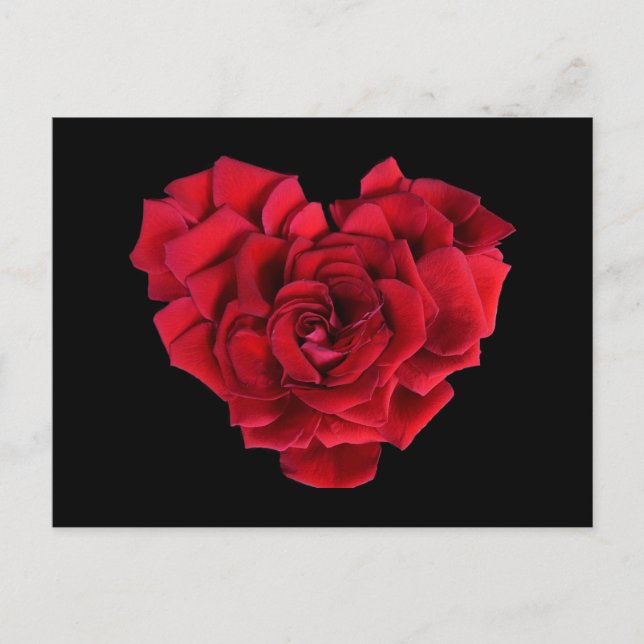 Red Rose Heart Postcard (Front)
