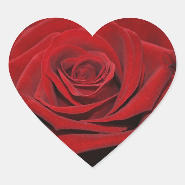 Red rose - heart - shaped sticker (Front)