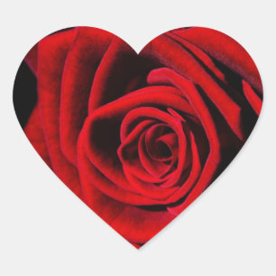Red Rose Heart Stickers and Envelope Seals