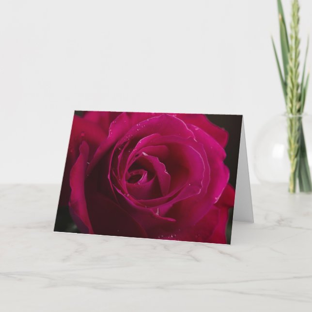 Red Rose Holiday Card (Front)