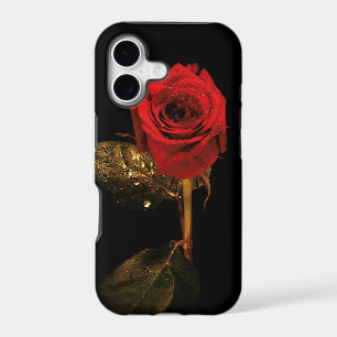 Red rose I-phone 5 case