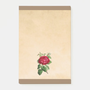 Red Rose Illustration on a Tan Background Post-it Notes