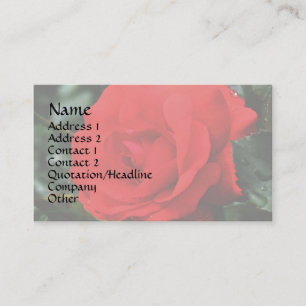 Red Rose In Bloom Floral Business Card