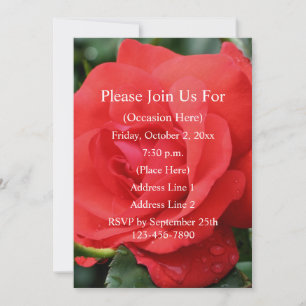 Red Rose In Bloom Floral  Invitation