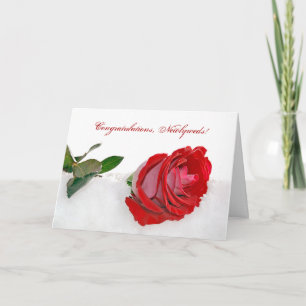 Red Rose In Snow Holiday Card