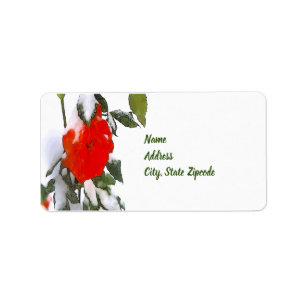 Red Rose in Snow Label