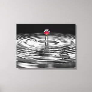 red rose in water droplet canvas print