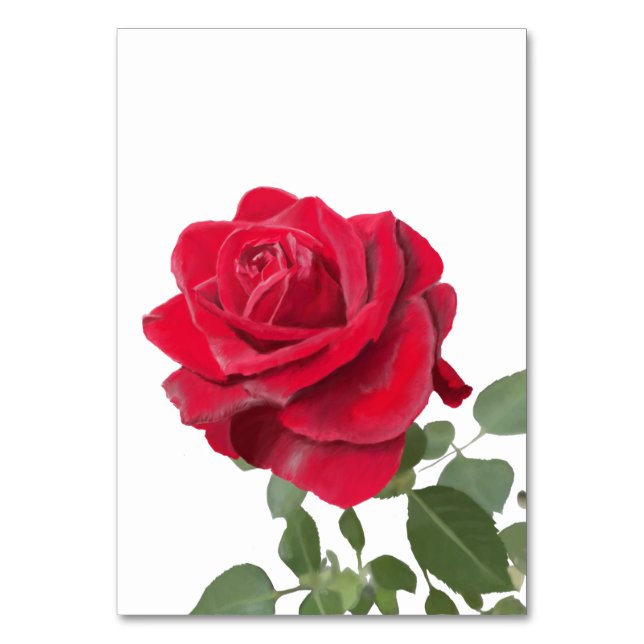 Red Rose Invitation - symbol of love Table Number (Front)