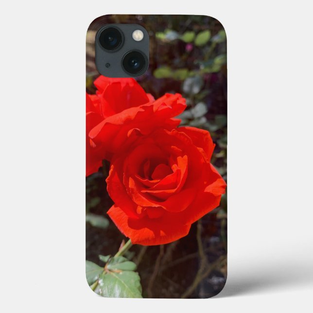 Red rose iPhone 13 Case (Back)