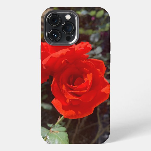 Red Rose iPhone 13 Pro Max Case (Back)