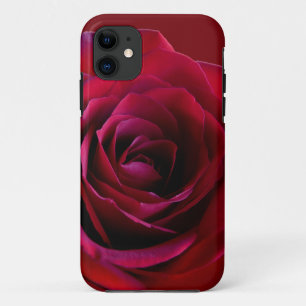 Red Rose iPhone 5 Case Classic Rose iPhone Cases