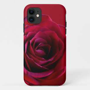 Red Rose iPhone 5 Case Classic Rose iPhone Cases