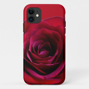 Red Rose iPhone 5 Case Roses iPhone Cases