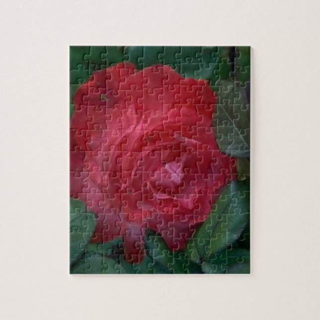 Red Rose Jigsaw Puzzle (Vertical)
