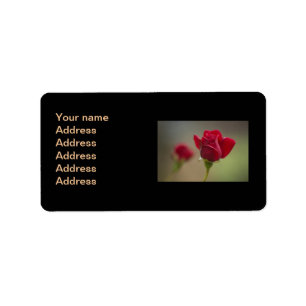 Red Rose Label