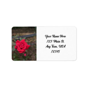 Red Rose Label