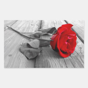 Red Rose Left On The Dock; I Still Love You Rectangular Sticker