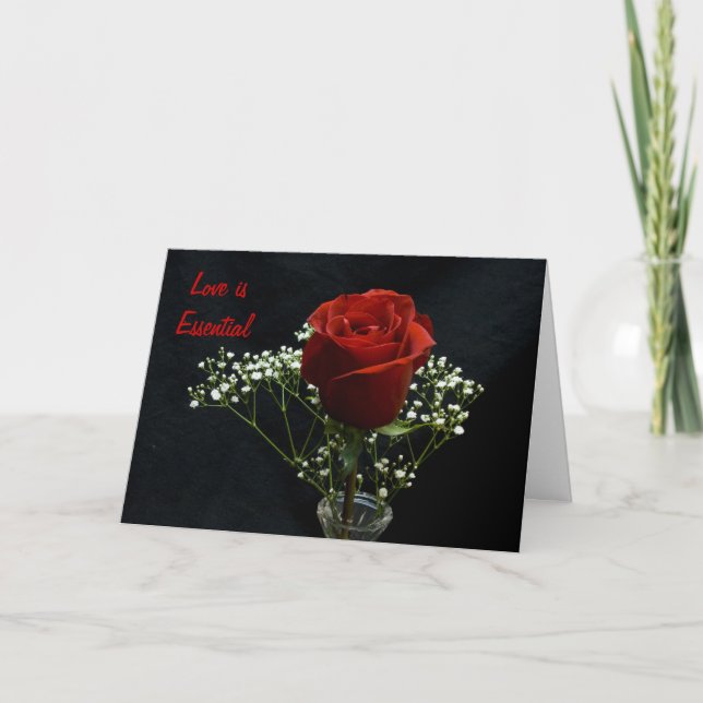 Red Rose/Little Prince Card (Front)