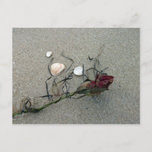 Red Rose Lost at Sea Postcard
