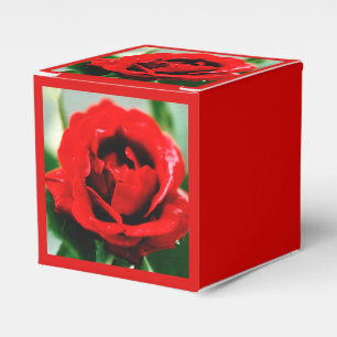 Red Rose Love Favour Box