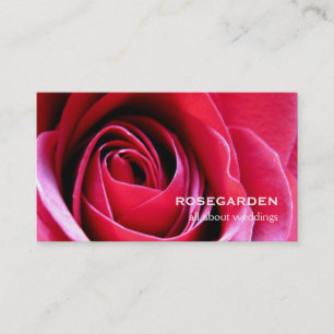 Red Rose Love Petals Business Card