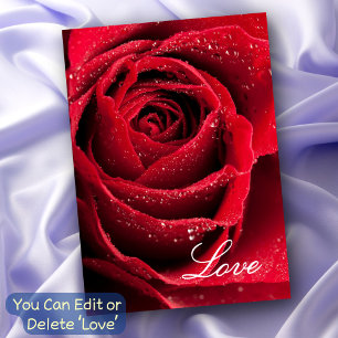 Red Rose Love Relationship Friendships All Purpose Card