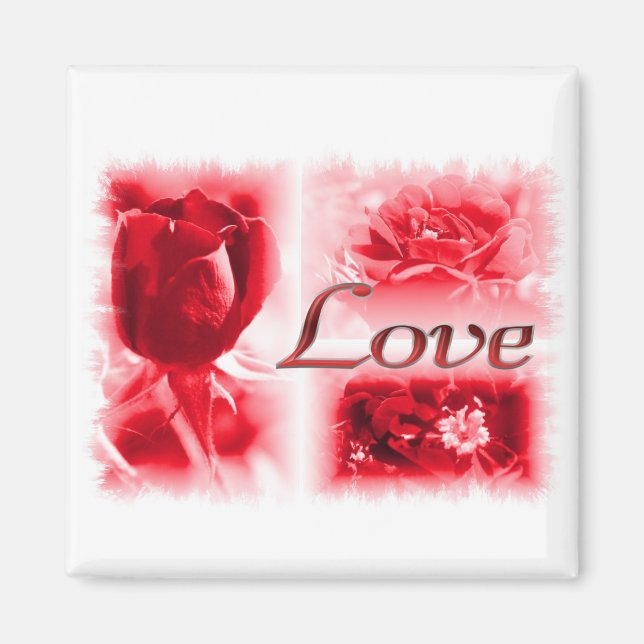 Red Rose Love Trio Magnet (Front)
