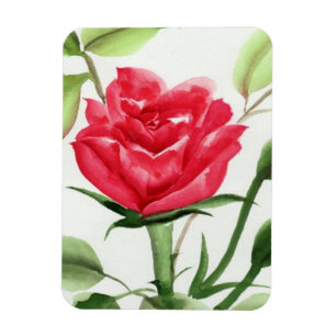 Red Rose Magnet