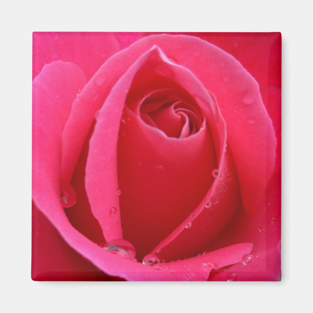 Red Rose Magnets Pink Rose Gifts Keepsake Decor (Front)