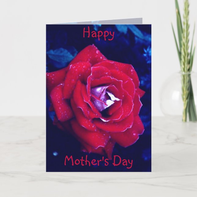 Red Rose - Mother's Day Card (Front)