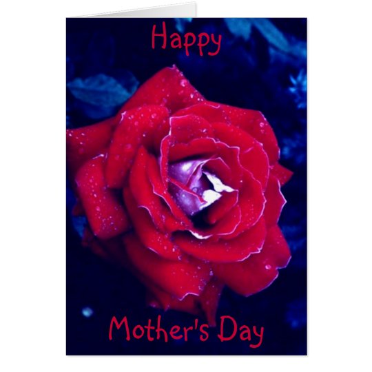 Red Rose - Mother's Day Card