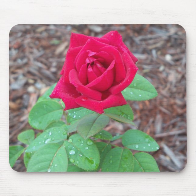 Red Rose Mouse Mat (Front)