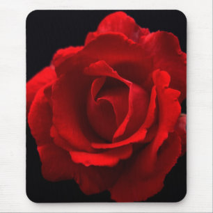 Red Rose mpcnm Mouse Mat