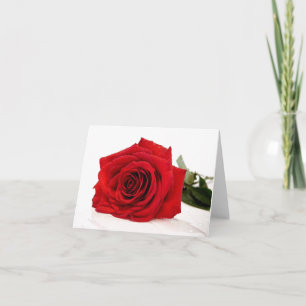 Red Rose Note Card