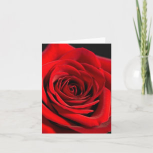 RED ROSE NOTE CARDS