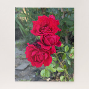 Red Rose, Oakland Jigsaw Puzzle