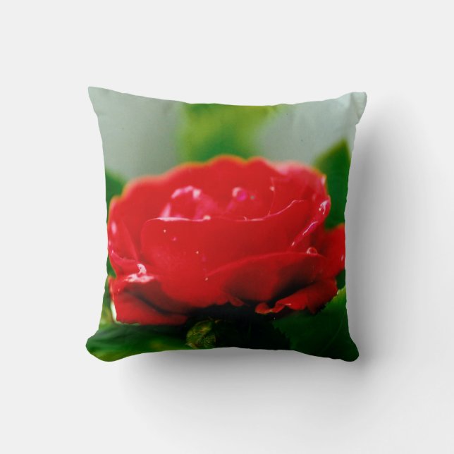 Red Rose of passion covered with dew drops  Cushion (Front)