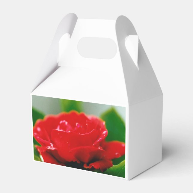 Red Rose of passion covered with dew drops  Favour Box (Front Side)